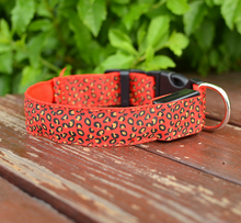 Load image into Gallery viewer, LED Dog Collar Safety Adjustable Nylon Leopard Pet Collar
